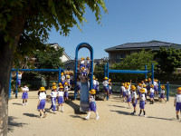 IMGP0388
