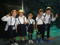 ３組水族館
