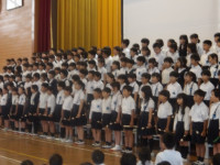 IMGP0801