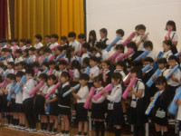 IMGP0800