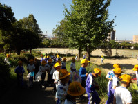 IMGP0736